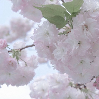 泽普福瑞交流群